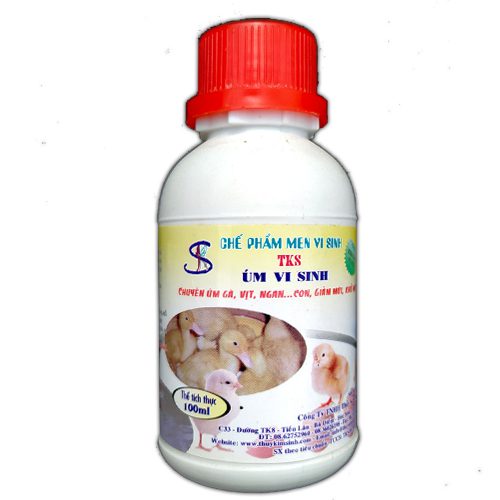 Men Vi Sinh Úm Gia Cầm TKS: Khỏe Mạnh, Phòng Bệnh