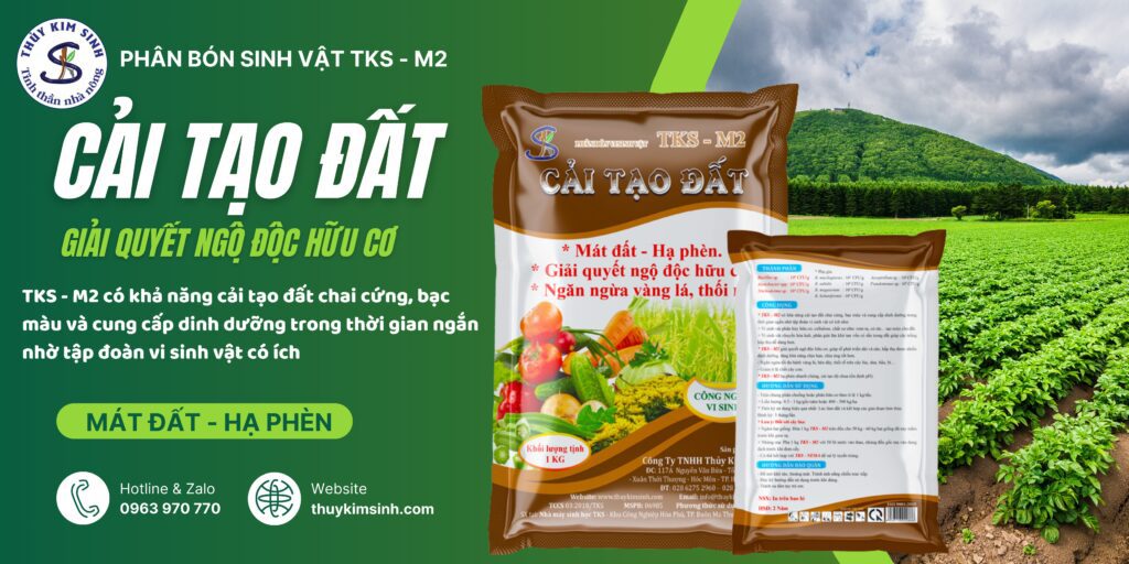 Phân Bón Cải Tạo Đất TKS M2: Hạ Phèn, Mát Đất Ngăn Thối Rễ Phân Bón Cải Tạo Đất TKS M2: Hạ Phèn, Mát Đất Ngăn Thối Rễ
