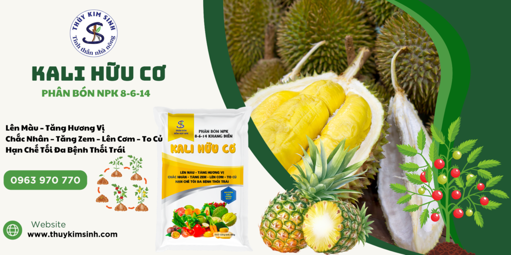 Phân Bón NPK Hữu Cơ TKS: Trái To, Chắc Nhân, Chất Lượng Cao