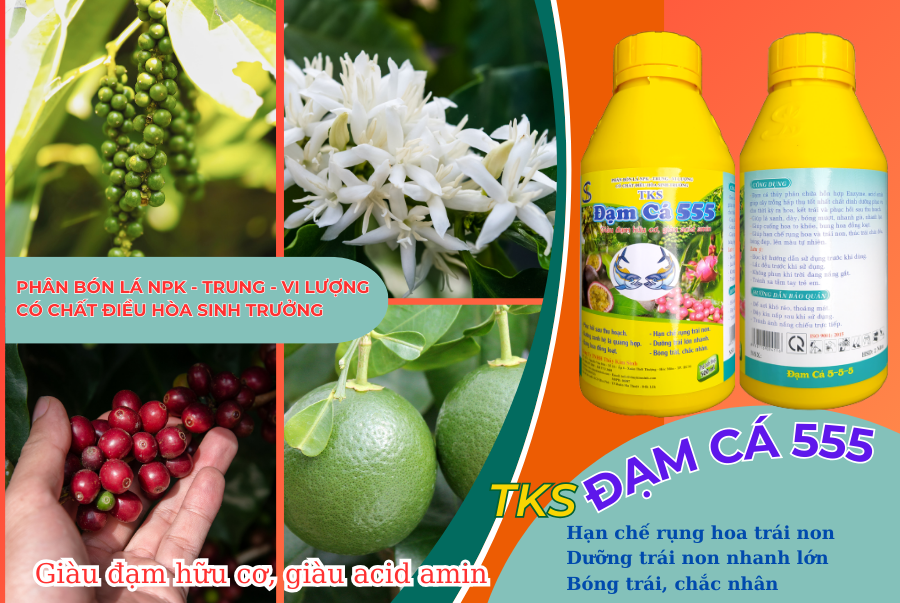 Phân Bón Đạm Cá 555 TKS| Phân Bón Lá NPK, Trung Vi Lượng Có Chất Điều Hòa Sinh Trưởng