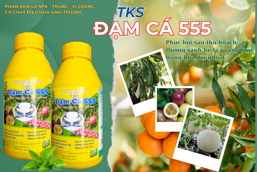 Phân Bón Đạm Cá 555 TKS| Phân Bón Lá NPK, Trung Vi Lượng Có Chất Điều Hòa Sinh Trưởng