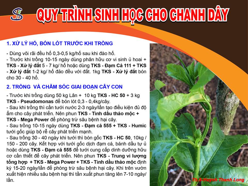 Quy Trình Sinh Học Cho Chanh Dây