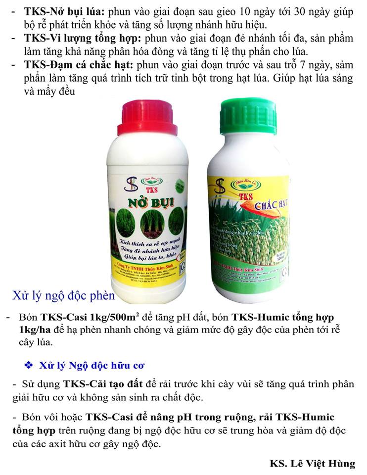 Sản Phẩm TKS Trong Sản Xuất Lúa