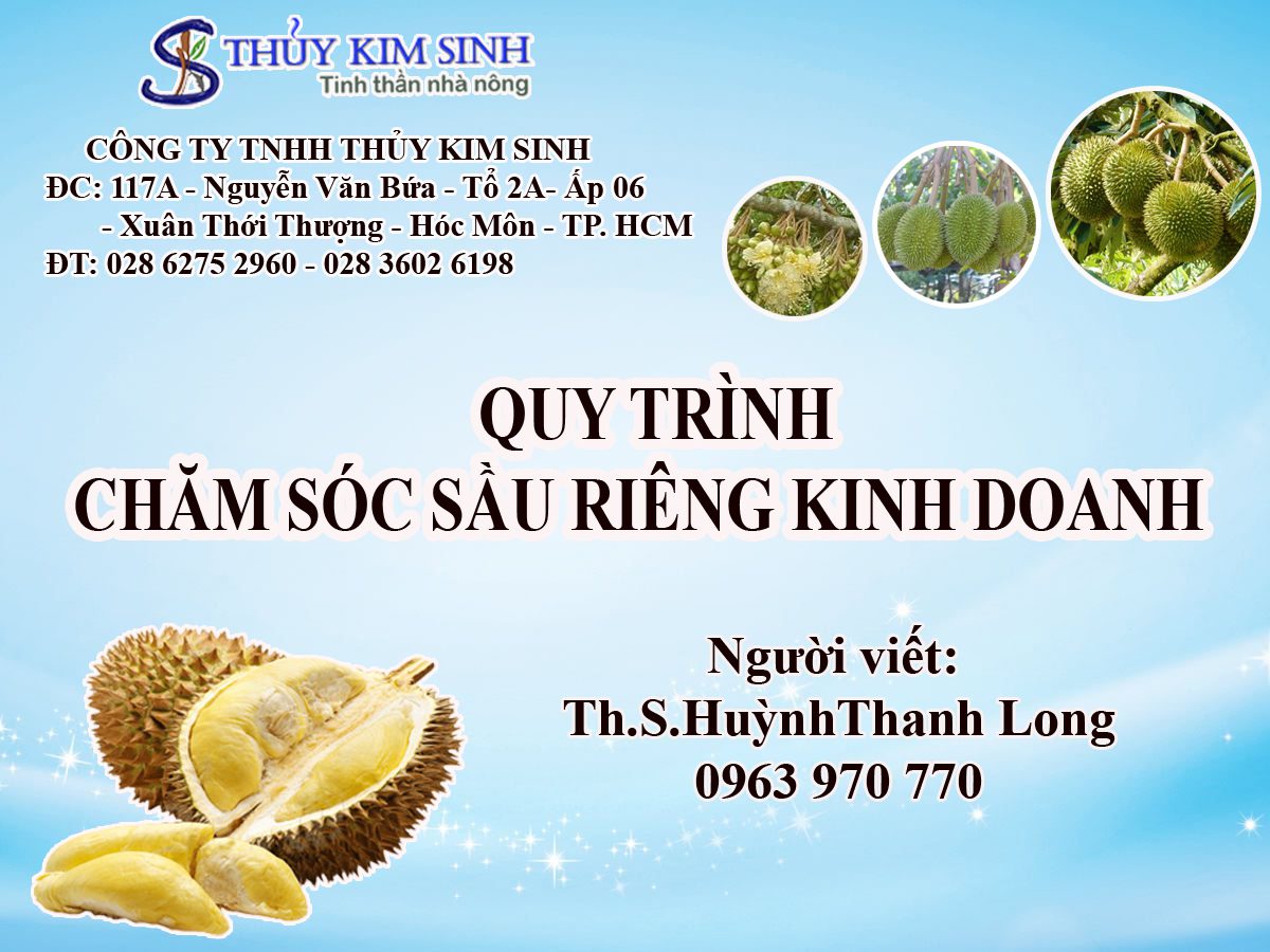Quy trình chăm sóc sầu riêng kinh doanh