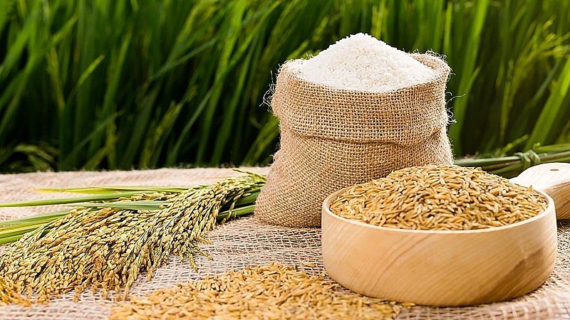 Sản Phẩm TKS Trong Sản Xuất Lúa