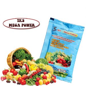 Chế Phẩm Sinh Học Chống Bệnh TKS : Phòng Thán Thư, Thối Rễ