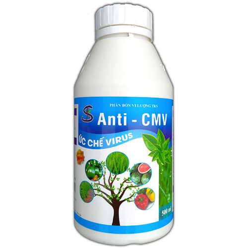 Phân Bón Ức Chế Virus TKS: Khắc Phục Xoăn Ngọn