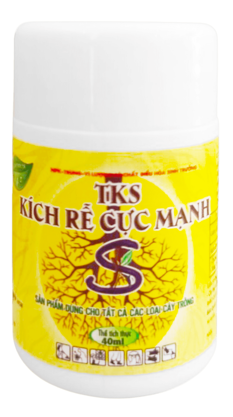 Chế phẩm kích rễ