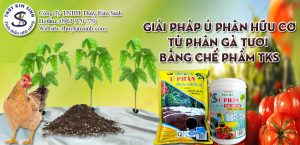 Cách ủ phân gà nhanh hoai mục