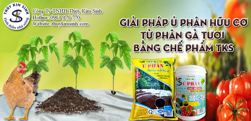 Cách ủ phân gà nhanh hoai mục