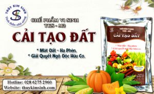 CHẾ PHẨM MEN VI SINH CẢI TẠO ĐẤT