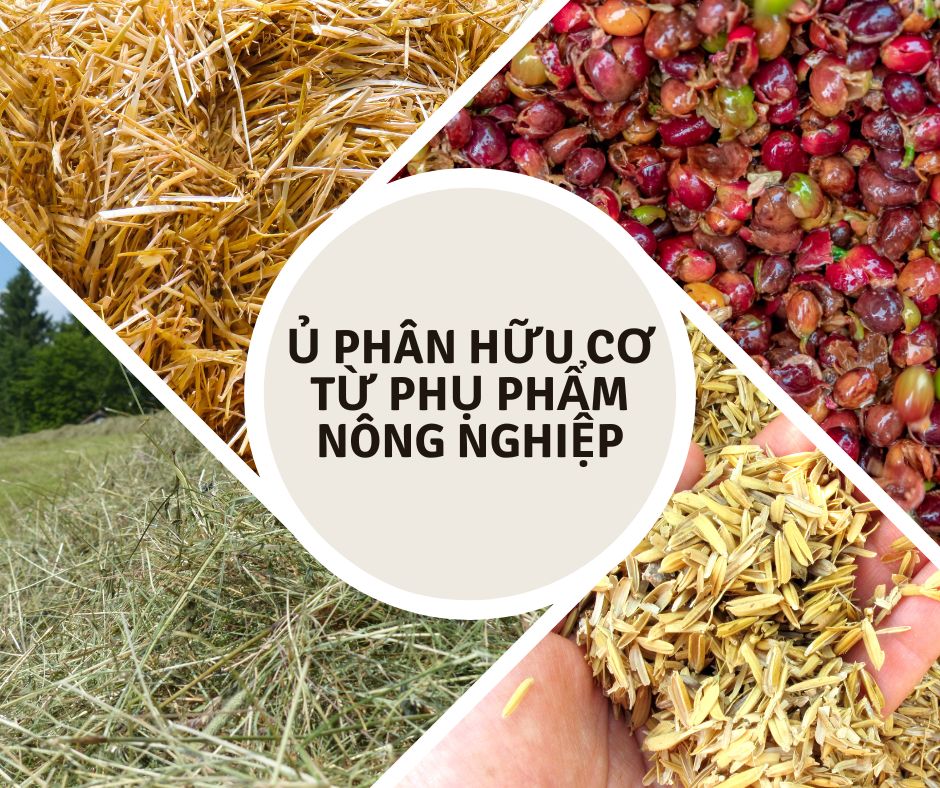 QUY TRÌNH Ủ PHÂN HỮU CƠ TỪ PHỤ PHẨM NÔNG NGHIỆP