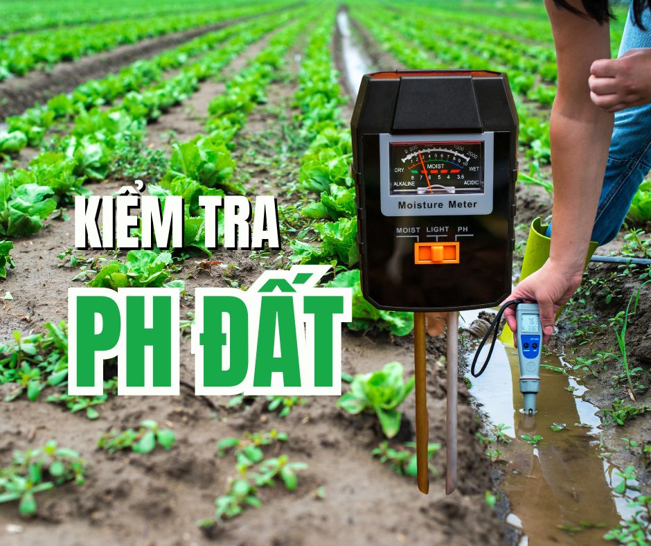 pH ĐẤT LÀ GÌ ? CÁCH KIỂM TRA ĐỘ pH CỦA ĐẤT !!!