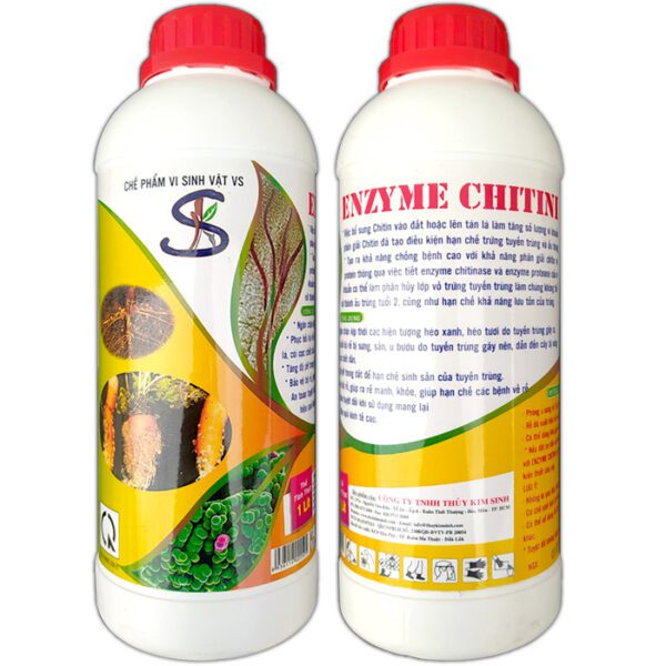 Phục hồi u sưng rễ do tuyến trùng nốt sưng: ENZYME CHITINI