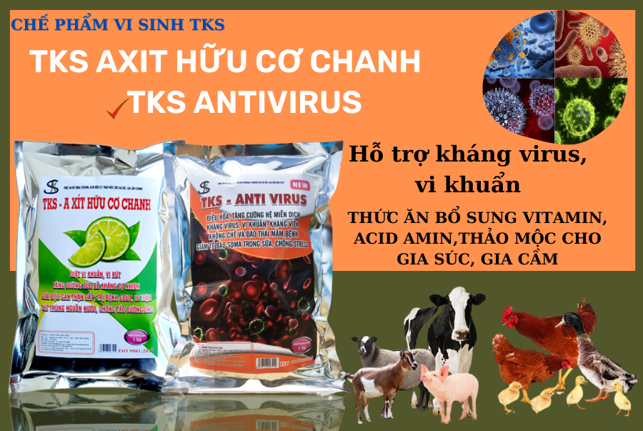 Kháng Bệnh, Kháng Virus, Kháng Khuẩn Cho Vật Nuôi