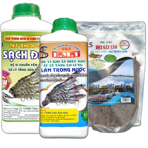 Men vi sinh khử bùn đáy ao đen thối trong nuôi trồng Thủy Sản