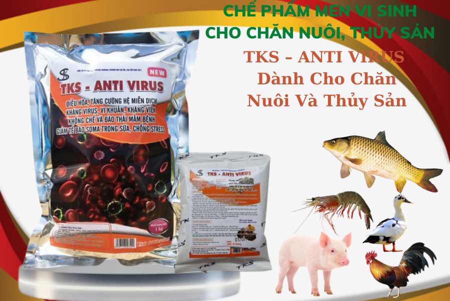 Kháng Bệnh, Kháng Virus, Kháng Khuẩn Cho Vật Nuôi