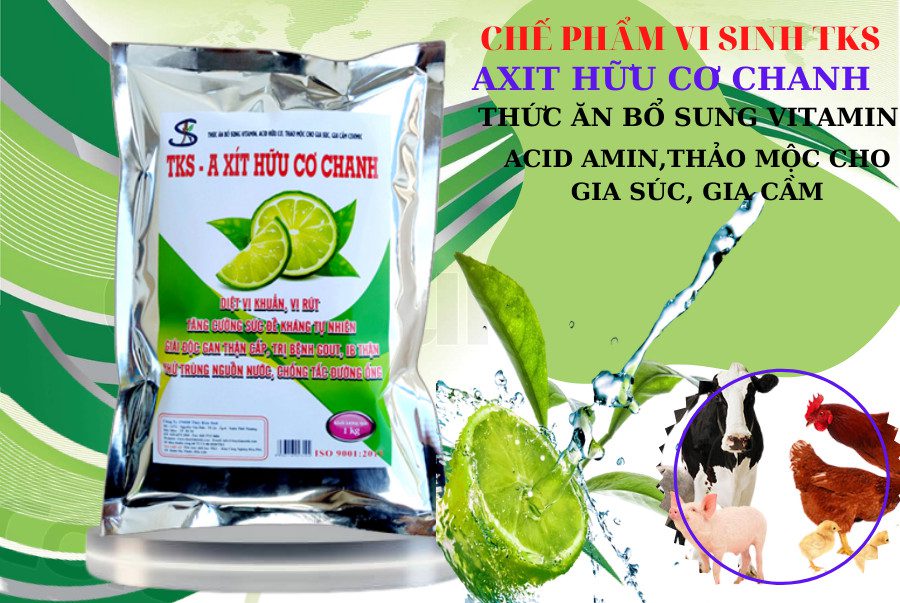 Kháng Bệnh, Kháng Virus, Kháng Khuẩn Cho Vật Nuôi