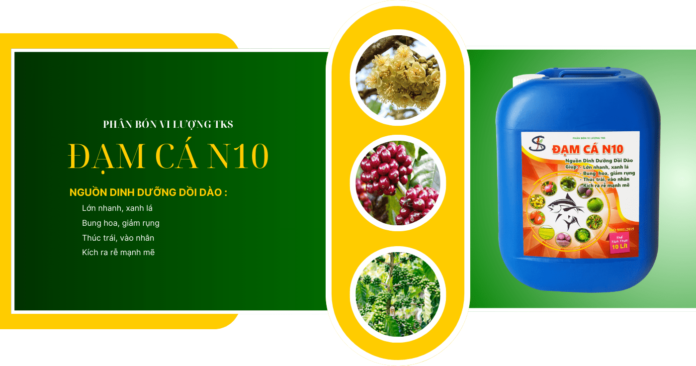 Đạm Cá N10 (CAN 10 LIT): Nguồn Dinh Dưỡng Dồi Dào Cho Cây Trồng