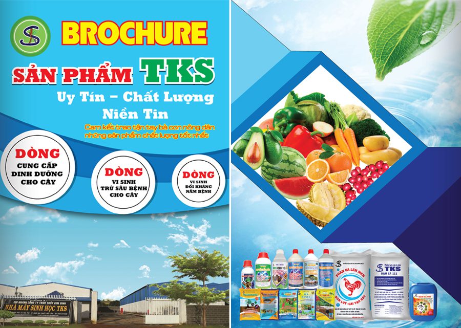 BROCHURE SẢN PHẨM TKS
