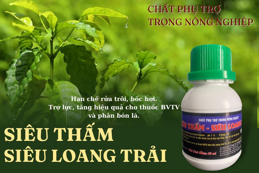 SIÊU THẤM – SIÊU LOANG TRẢI: Chất Phụ Trợ Trong Nông Nghiệp