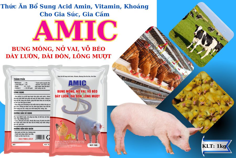 Thức Ăn Bổ Sung Acid Amin AMIC: Bung Mông, Vỗ Béo, Nở Vai, ..... Cho Gia Súc Và Gia Cầm
