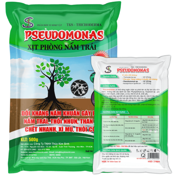 Chế phẩm vi sinh Pseudomonas: Đối kháng nấm khuẩn