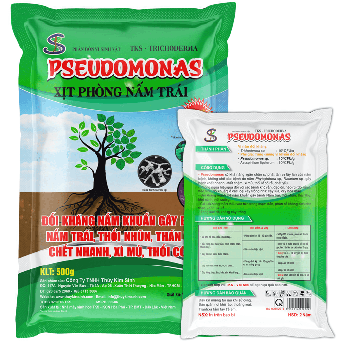 Chế phẩm vi sinh Pseudomonas: Đối kháng nấm khuẩn