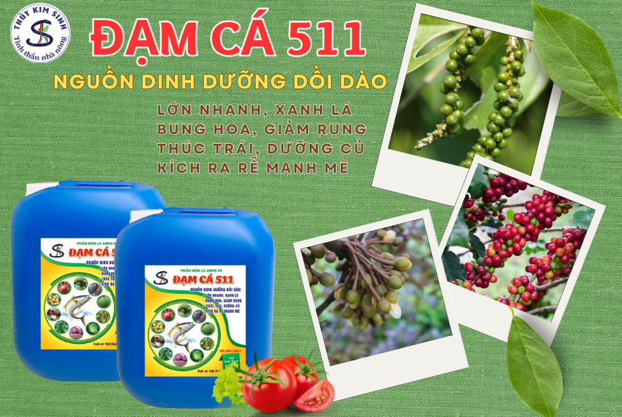 Đạm cá Amino 511: Kích Rễ, Bung Hoa, Giảm Rụng, Thúc Trái - Ảnh 2