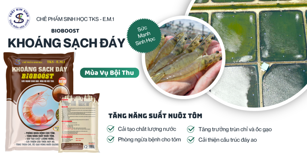 Chế Phẩm EM BIOBOOST Khoáng Sạch Đáy Làm Trong Nước Ao Hồ
