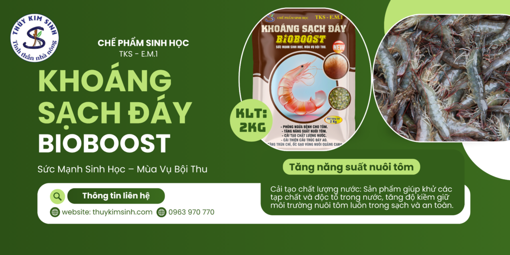 Chế Phẩm EM BIOBOOST Khoáng Sạch Đáy Làm Trong Nước Ao Hồ