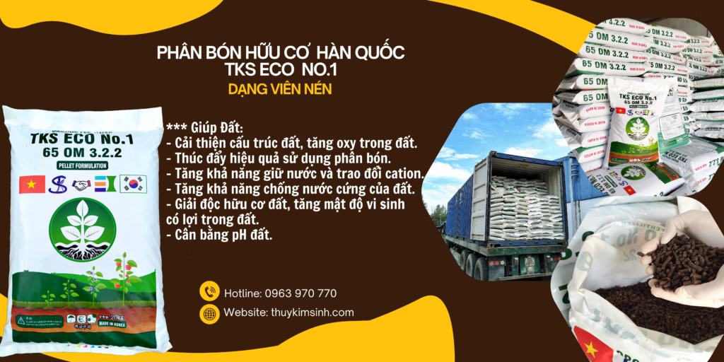 Phân Hữu Cơ Hàn Quốc Dạng Viên Nén TKS ECO No.1 65 OM 3.2.2