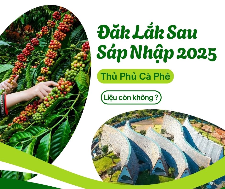 Đắk Lắk Sáp Nhập 2025 : Sau Sáp Nhập Đắk Lắk Có Còn Là Thủ Phủ Cà Phê Việt Nam ?