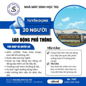 Tuyển dụng lao động phổ thông
